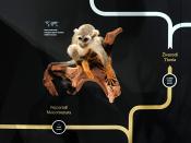 narodni muzeum praag 7-2023 9059